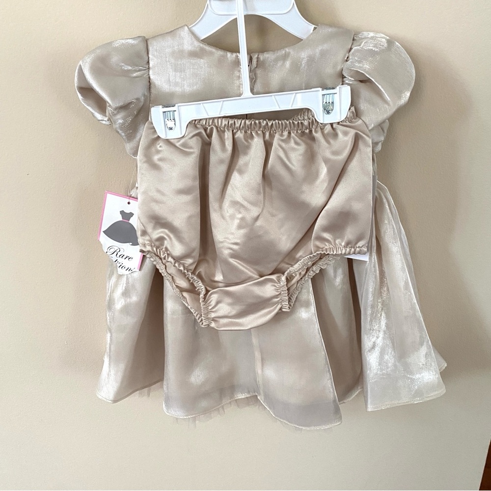 RARE EDITIONS Baby Dress Shimmer Organza Puff Sleeve 24 Months Pageant Easter - Picture 9 of 15